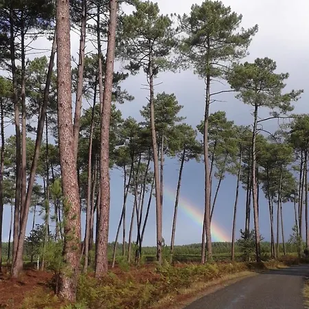 Lägenhet Chez Kaky *