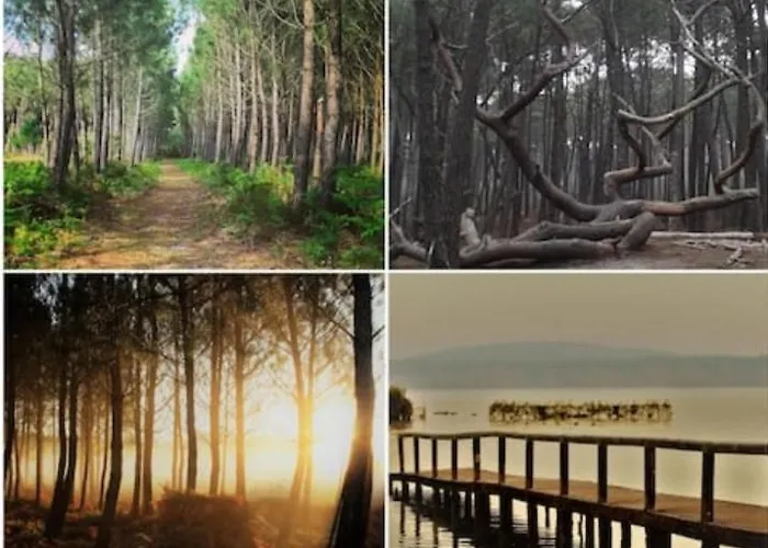 Chez Kaky * Onesse-et-Laharie